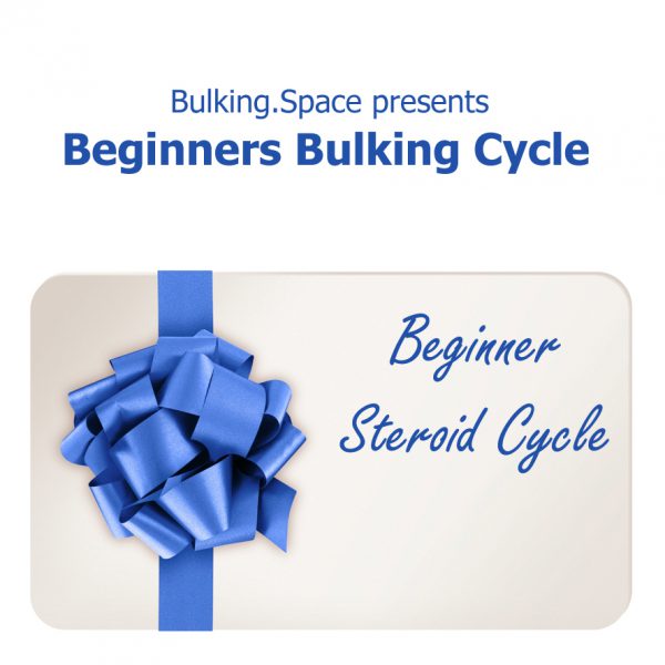beginners bulking cycle