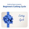 Buy Beginners Cutting Cycle (8 weeks)
